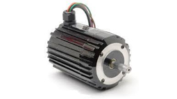 BLDC Motor in Rohtak