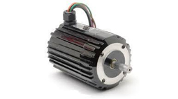 BLDC Motor in Shahjahanpur